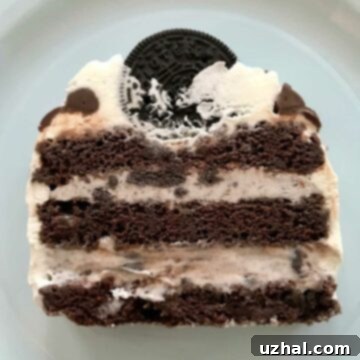 Delicious Mini Ice Cream Cake with chocolate drizzle and whipped cream
