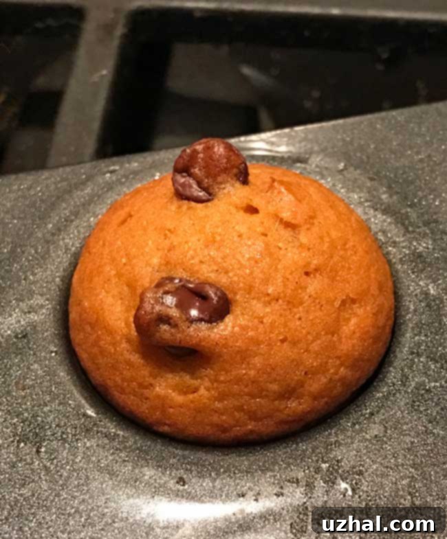 Close-up of a perfectly rounded mini pumpkin muffin top