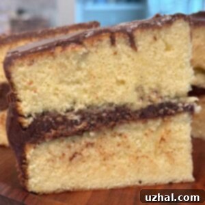 Cook's Illustrated Fluffy Yellow Cake with milk chocolate frosting