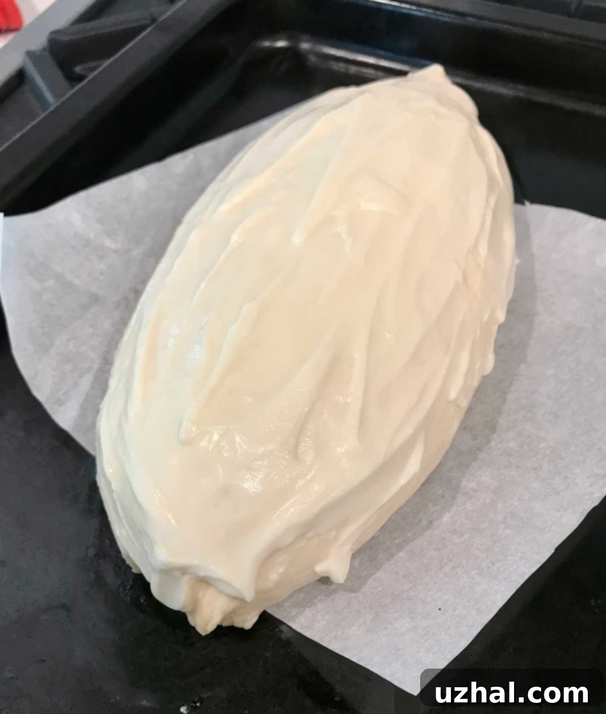 Dutch Crunch Bread or Tiger Bread dough with rice flour topping.
