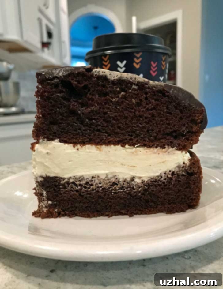 Easy Cake Mix Chocolate Boston Cream Pie, a quick and delicious dessert.