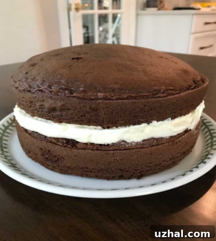 Unglazed Cake Mix Chocolate Boston Cream Pie before the final ganache topping, showing its layered structure.