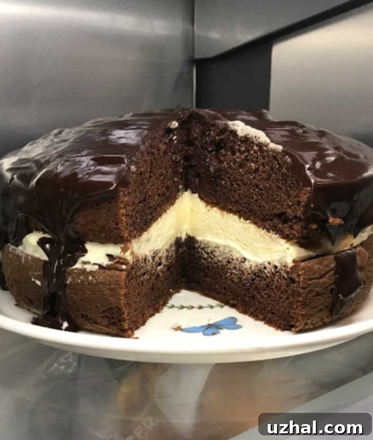 Cross-section of a perfectly chilled Chocolate Boston Cream Pie, showing distinct layers of cake, Bavarian cream, and ganache.