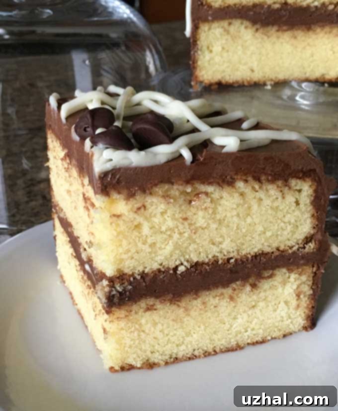 Decadent rich yellow cake with smooth chocolate frosting