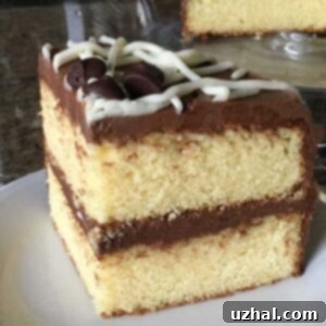Rich Yellow Cake slices on a plate with chocolate frosting.