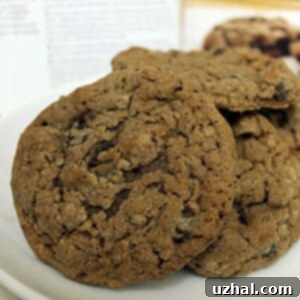 Deluxe Triple- Chocolate Cookies from Pillsbury Bake-Off Contest 44.