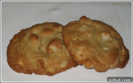 masterpiececookiesforblog.jpg