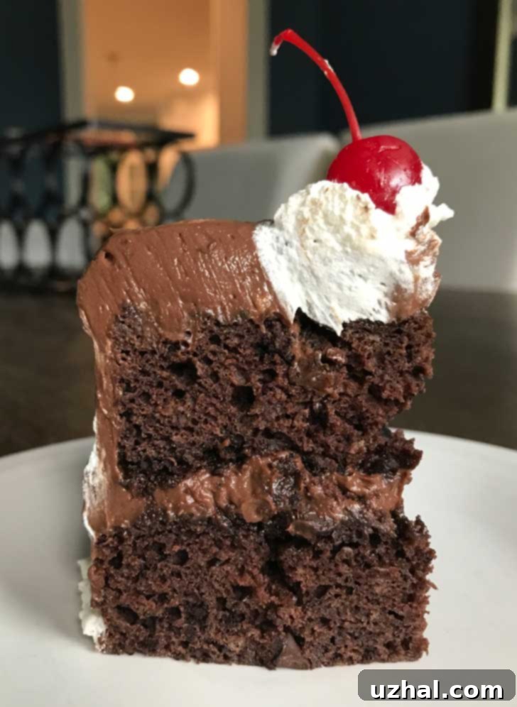 Chocolate Banana Cake with Tofu Chocolate Frosting
