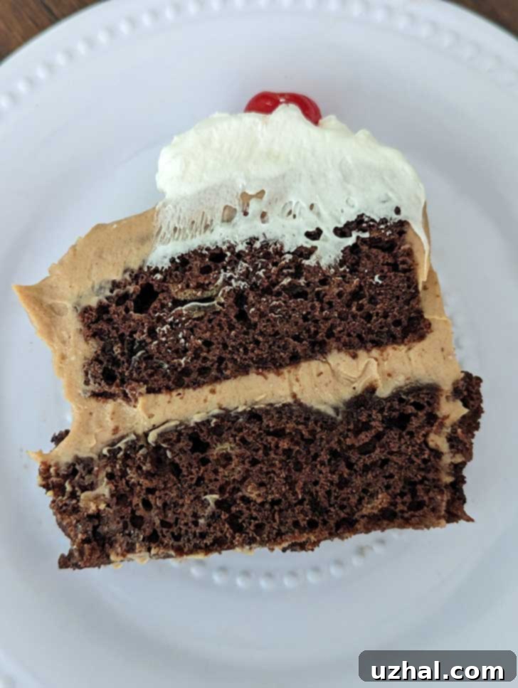 Oil-Free Chocolate Banana Cake with Tofu Peanut Butter Frosting