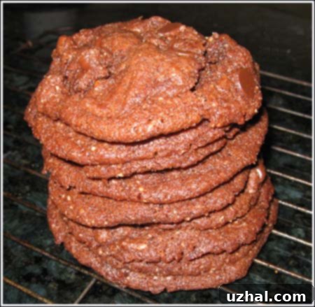 Chewy Chocolate Almond Cookies