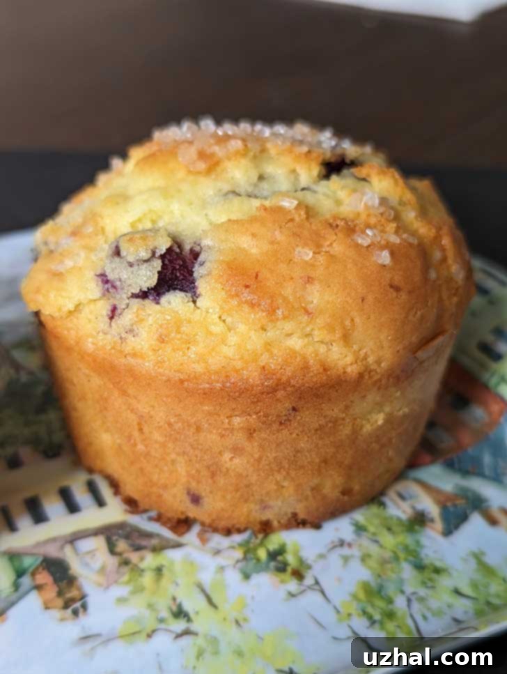 Close-up of a golden brown cottage cheese muffin with a hint of butter flavor, made with self-rising flour.