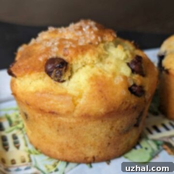 A perfectly baked, golden cottage cheese muffin, still warm from the oven.