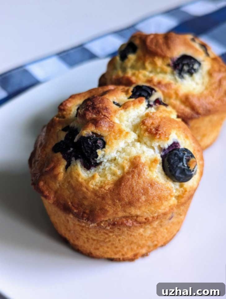 Close-up of a perfectly baked small batch muffin with a protein powder crust, showing a rich brown color and an enticing texture.