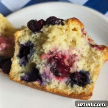 Split blueberry muffin showing its tender crumb and juicy blueberries