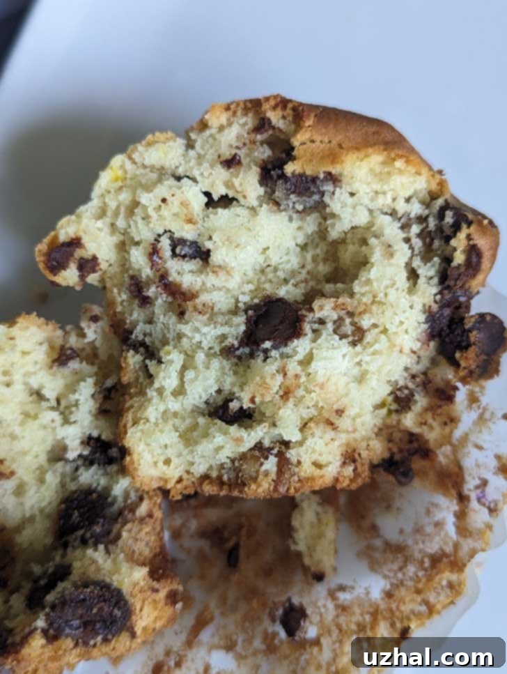 Rich Chocolate Chip Muffins Gluten Free