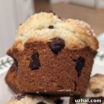 Gluten-Free Bread Flour Muffins