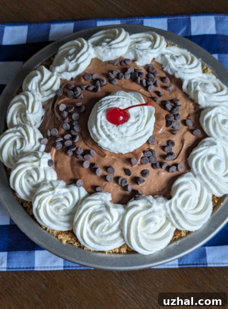 Decadent Chocolate Chiffon Pie 3 Close-up shot of the smooth, rich chocolate filling of a Chocolate Chiffon Pie before garnishing.