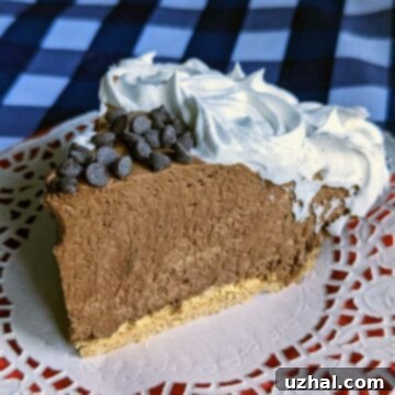 A beautifully presented slice of chocolate chiffon pie with whipped cream, showing its airy texture.