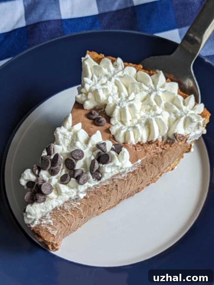 Chocolate Chiffon Pie Slice