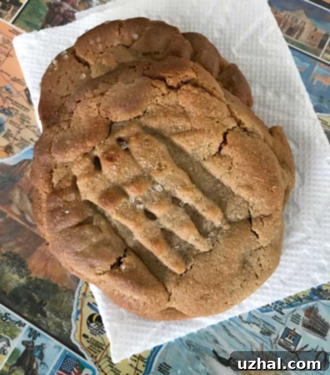 Texas Al's Peanut Butter Cookies, freshly baked and golden brown