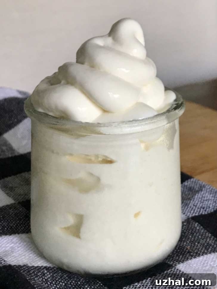 Dairy Queen Ice Cream Copycat recipe for home, freshly made and ready to serve.