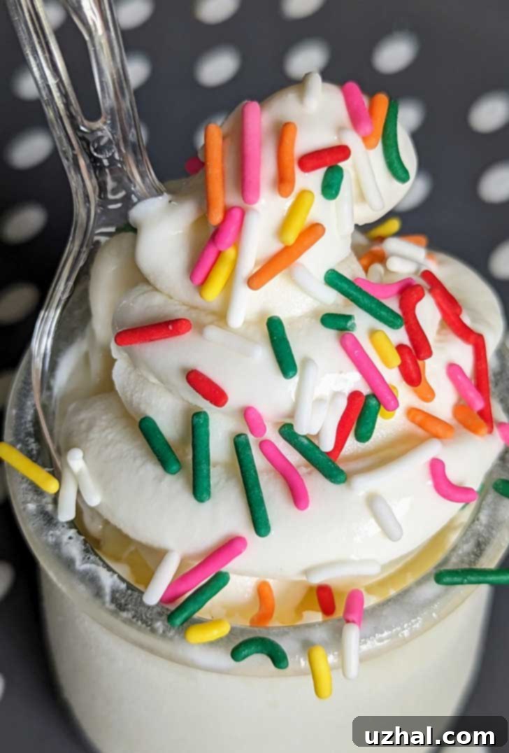 Dairy Queen Ice Cream Copycat Recipe showing soft texture after 24 hours of freezing and re-softening.