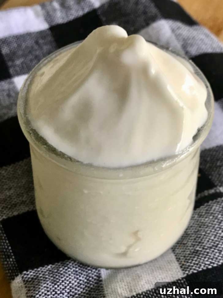 Dairy Queen Ice Cream Recipe Copycat, featuring a malted milk powder addition.