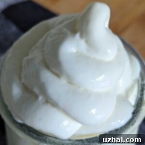 Dairy Queen Ice Cream Copycat recipe