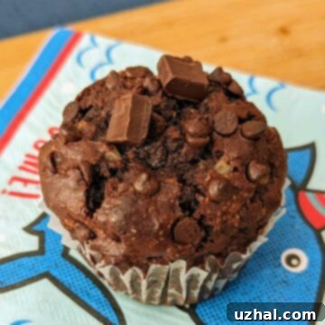 Cottage Cheese Chocolate Muffins