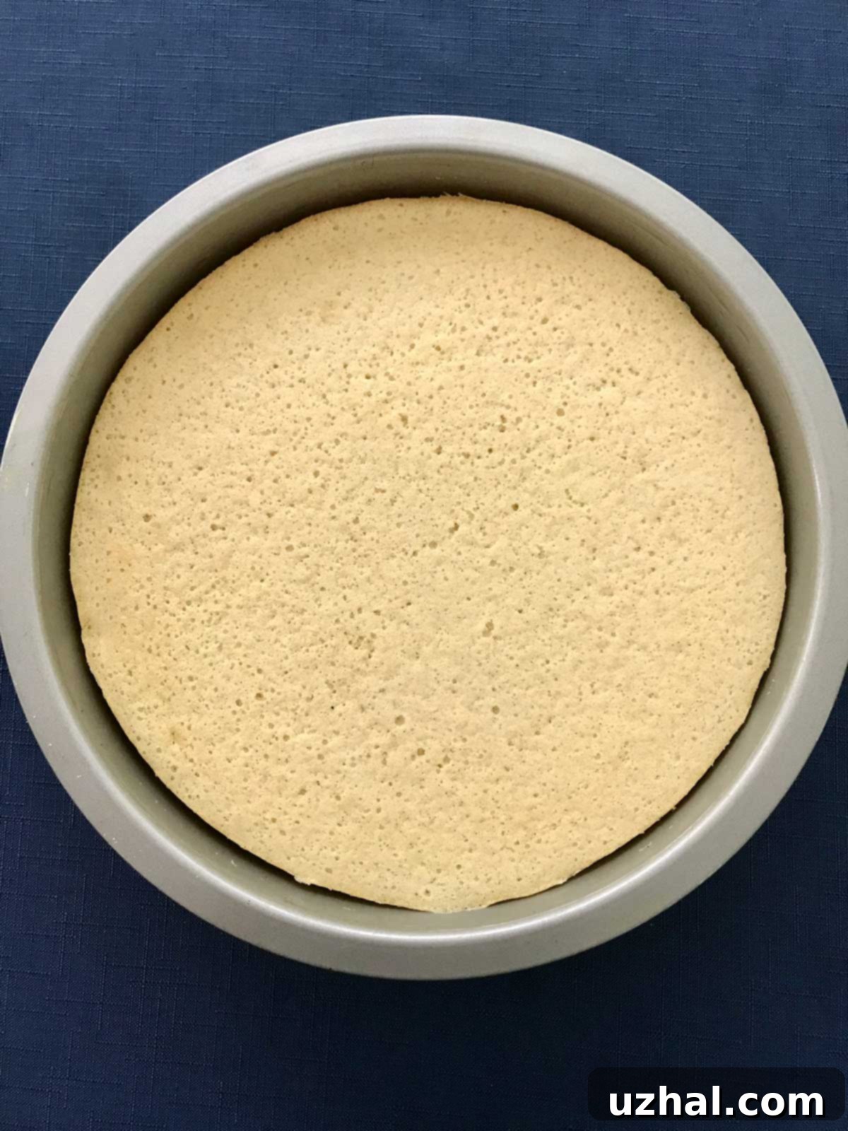 Vanilla Bean Magic Cake ready to be served