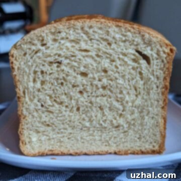 Peanut Butter Bread Sliced