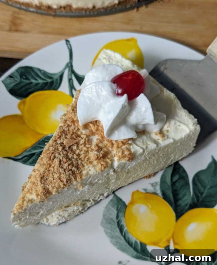 Slice of Lime Delicious Cheesecake, garnished with fresh lime wedge and zest