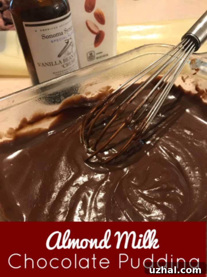 Almond Milk Chocolate Pudding, garnished with berries