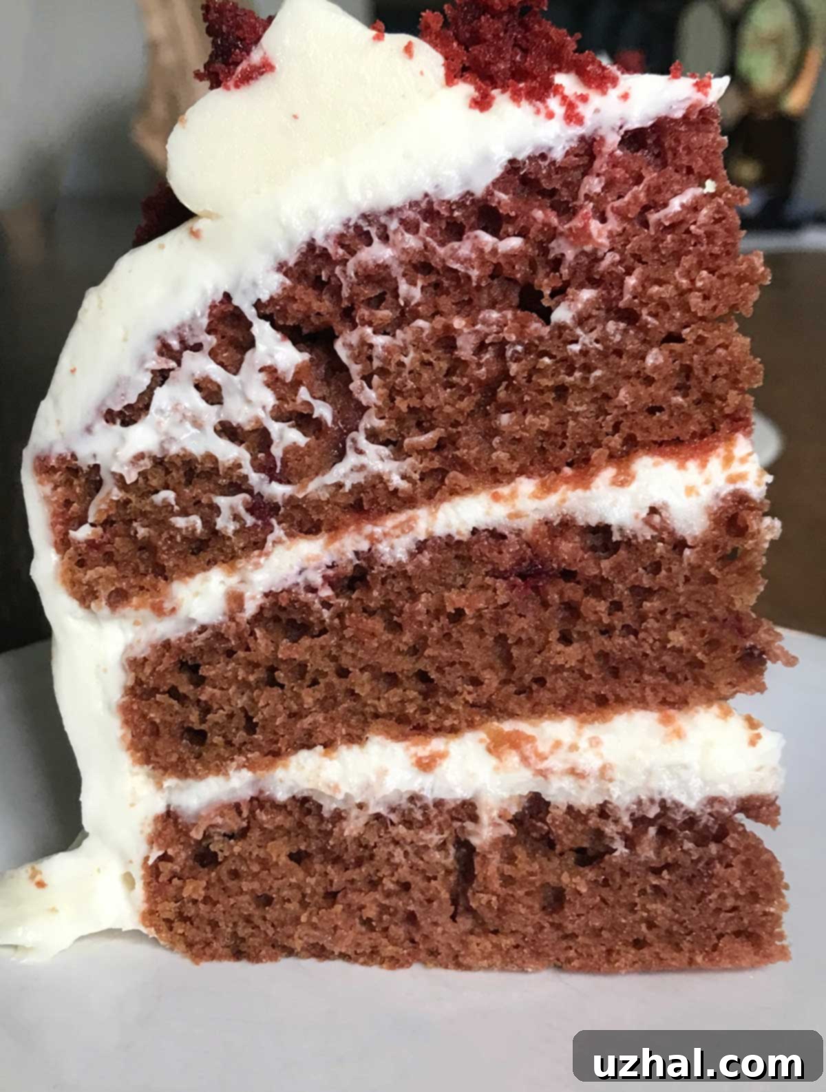 Six Inch 3 Layers