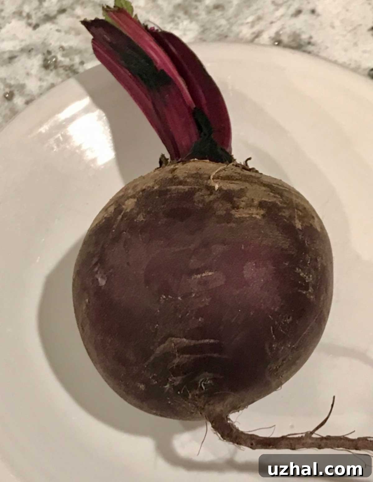 Fresh Beet