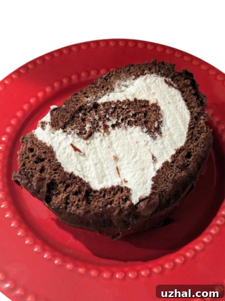 Flourless Swiss Cake Roll Slice