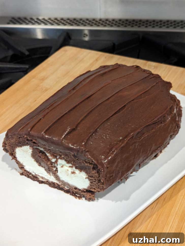 Gluten-Free Flourless Swiss Cake Roll