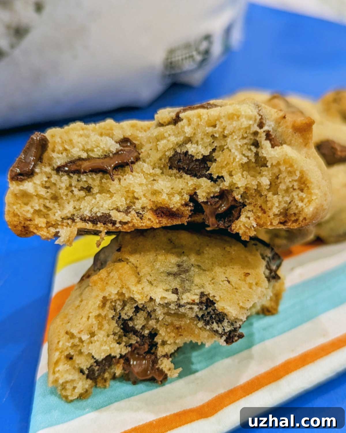 Close-up texture of a soft gluten-free chocolate chip cookie made with King Arthur Measure for Measure flour, showing chocolate chunks and a tender crumb.