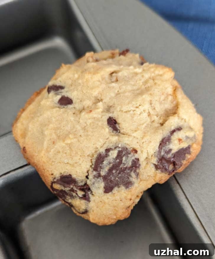 Soft gluten-free chocolate chip cookies baked into square shapes in a brownie pan, highlighting their golden-brown edges.