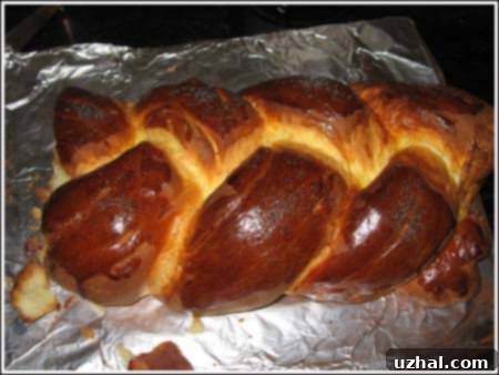 Rich Challah dough rising in a bowl