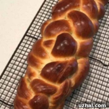 Golden braided Rich Challah loaf