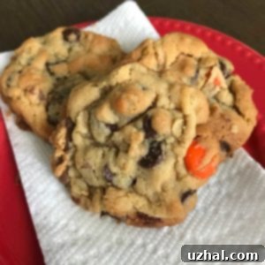 The Ultimate Chocolate Chip Peanut Butter Cookies 2 Outrageous Chocolate Chip Peanut Butter Cookies with chocolate chips visible