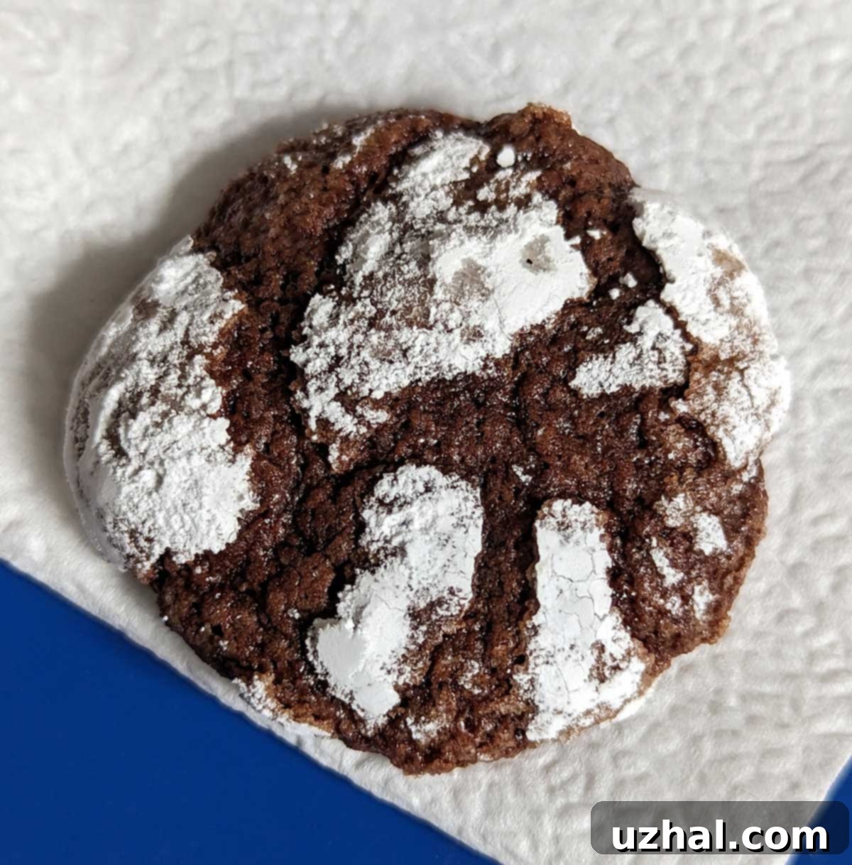 Chocolate Crinkle Cookies Recipe