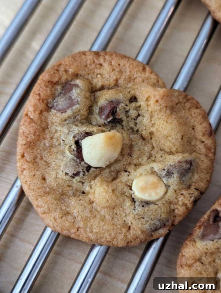 Donna Kelce's Chocolate Chip Cookies
