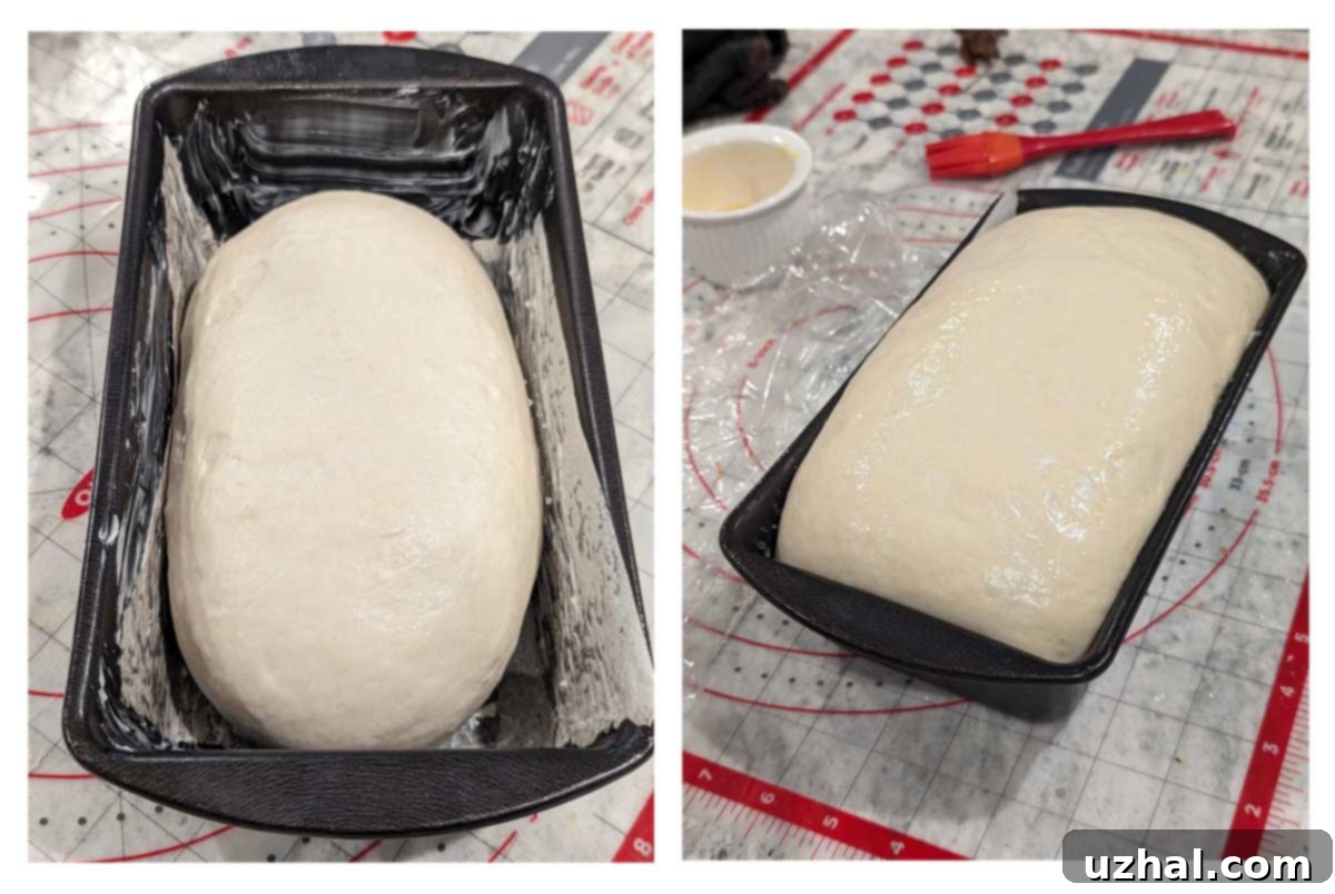 Buttermilk White Bread Dough being kneaded