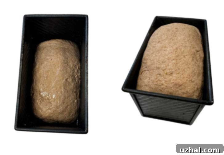 Gluten-Free Whole Grain Bread dough before and after rising in the pan.