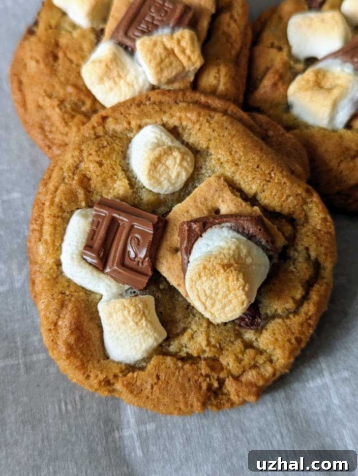 Chewiest Chocolate Chip Cookies S'mores Version