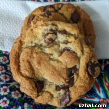 Chewy Chocolate Chip Cookies