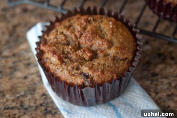 A tray of freshly baked favorite bran muffins, golden brown and ready to enjoy
