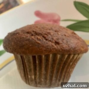Marcy Goldman's Bran Muffin recipe also known as Lawsuit Muffins from Cook's Illustrated.